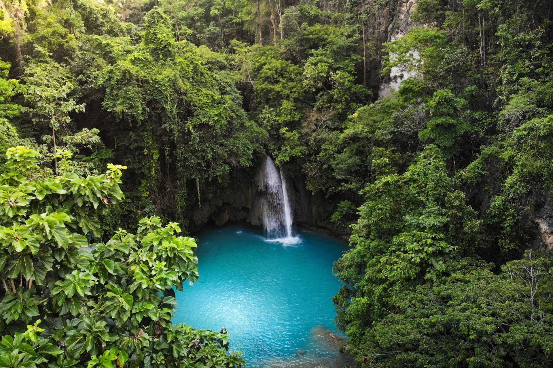 Image via Stephen Green-Price / Shutterstock