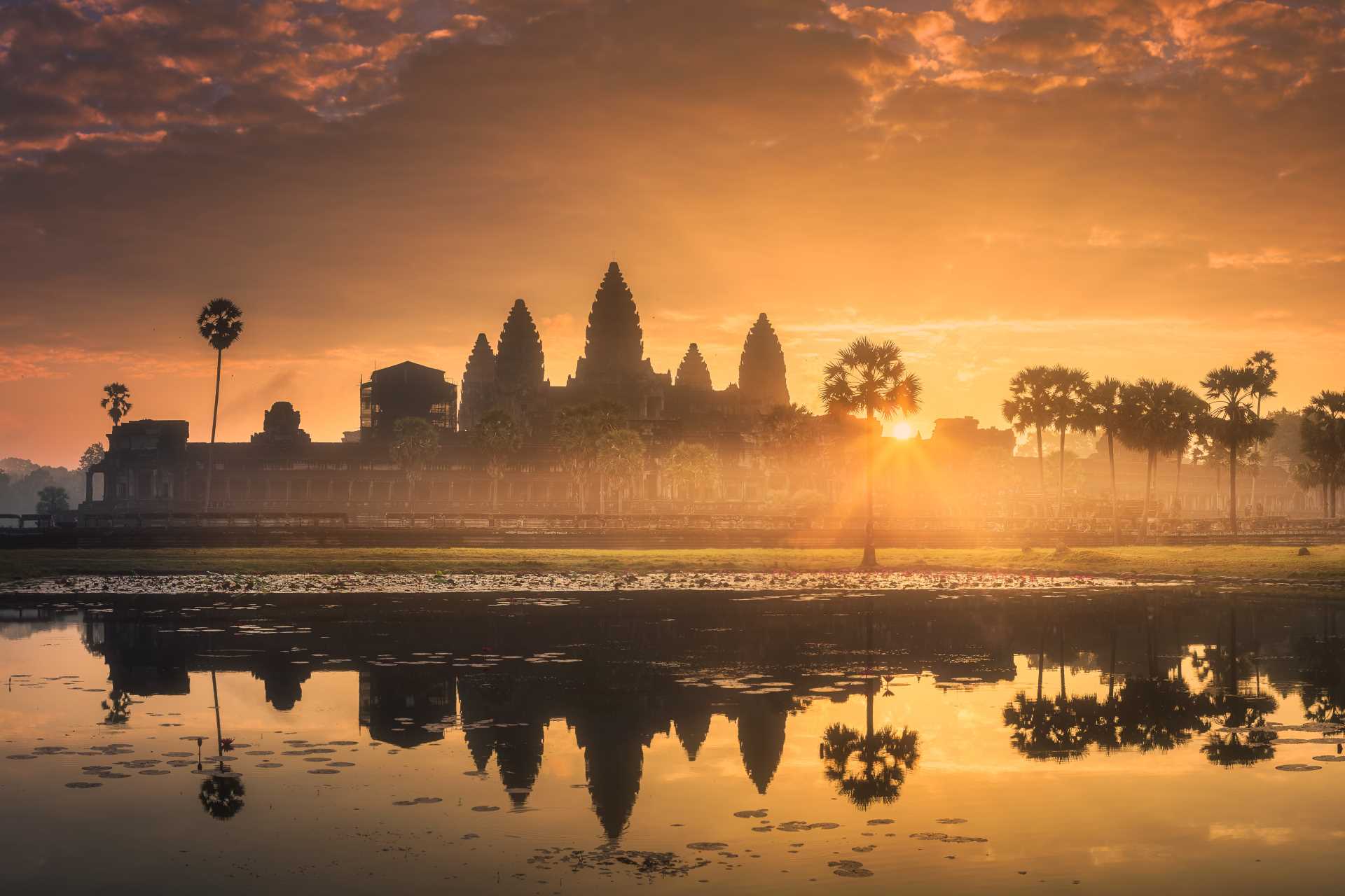 Image via Boule / Shutterstock