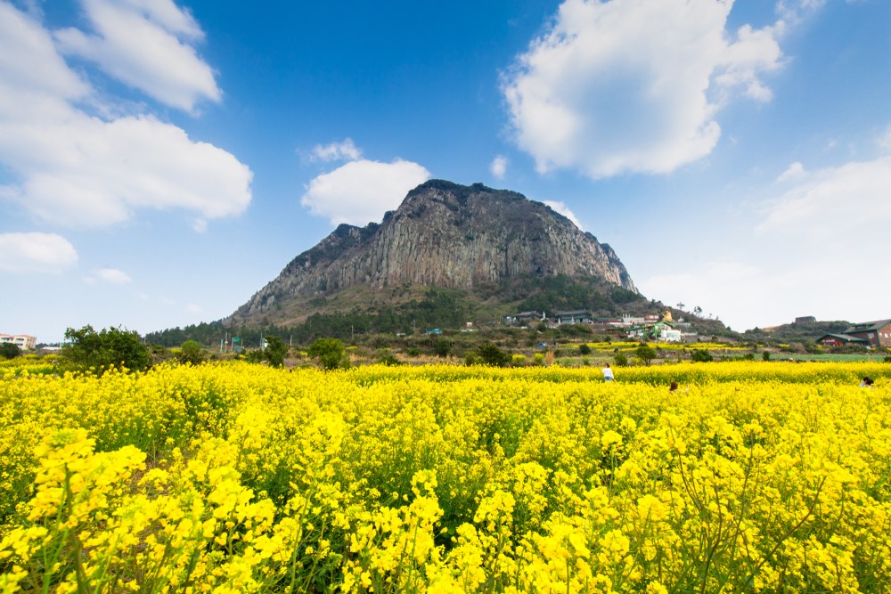 Hallasan | Image via SEUNGHAN JEON/Shutterstock
