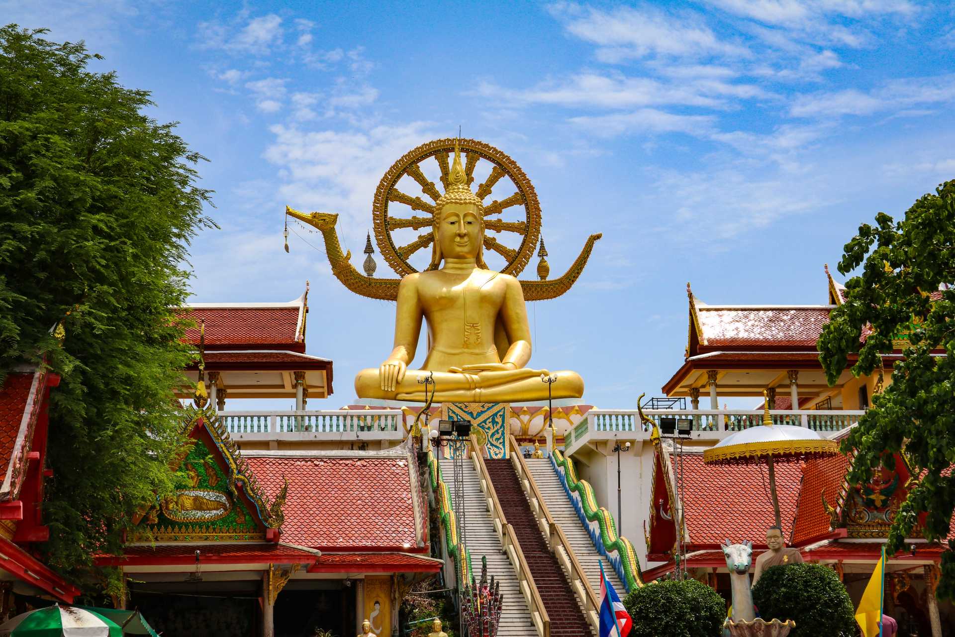 Image via Daniel Machacek / Shutterstock