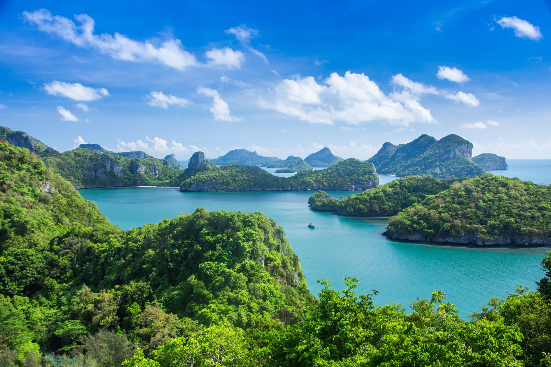 Image via happystock / Shutterstock