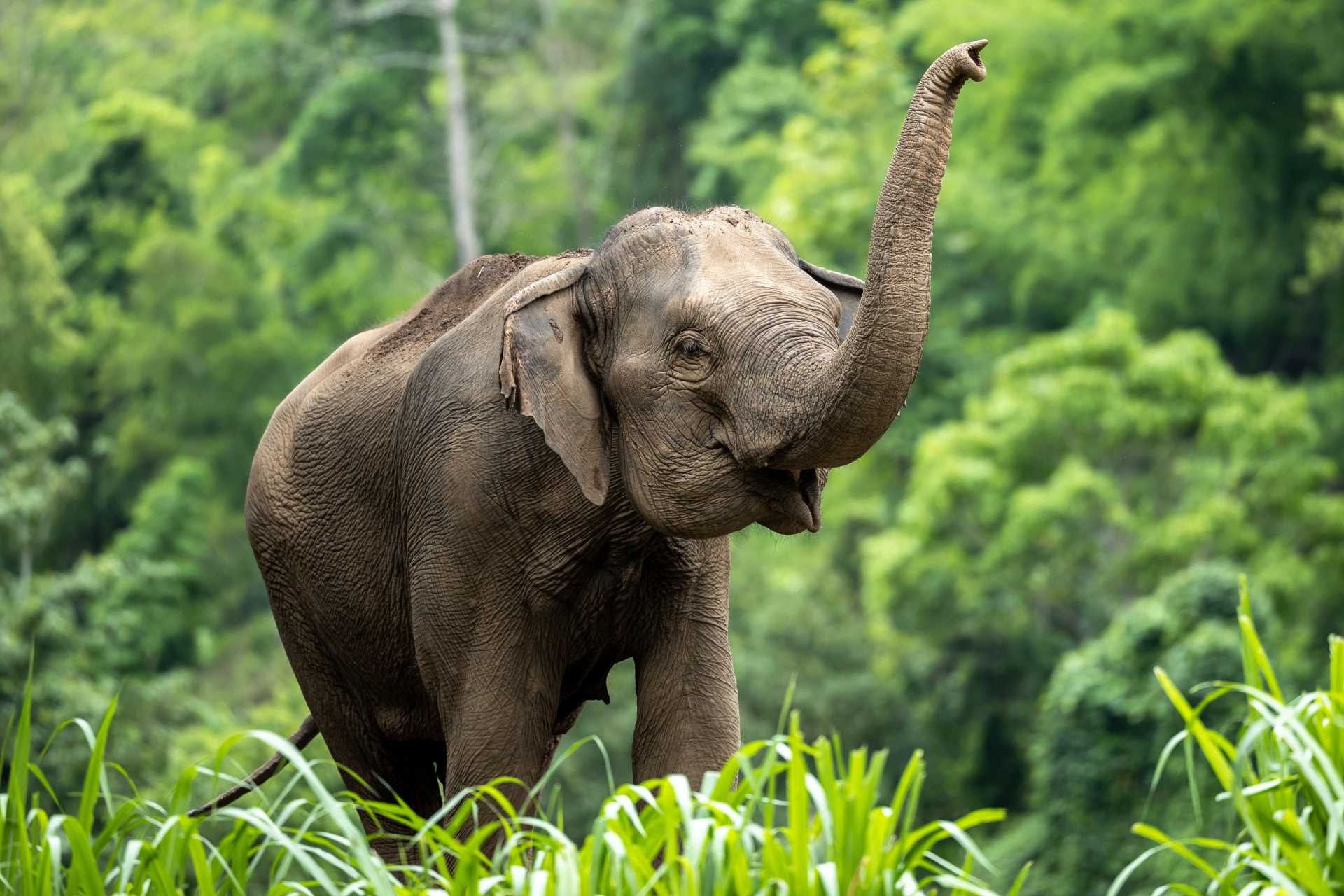 Image via Avigator Fortuner / Shutterstock