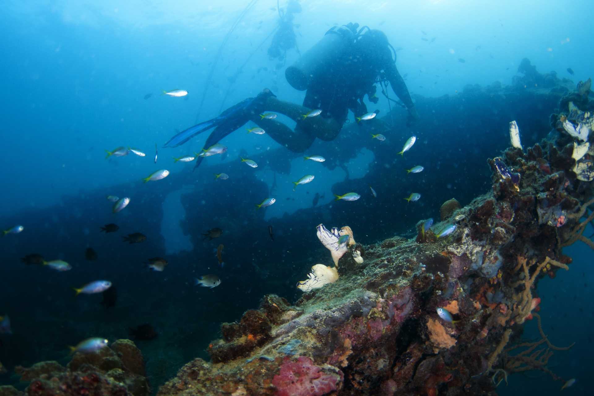 Skeleton Shipwreck. Image via Jung Hsuan/Shutterstock.