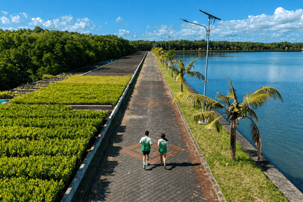 Participants walking the mangrove area during JTB Run 2026