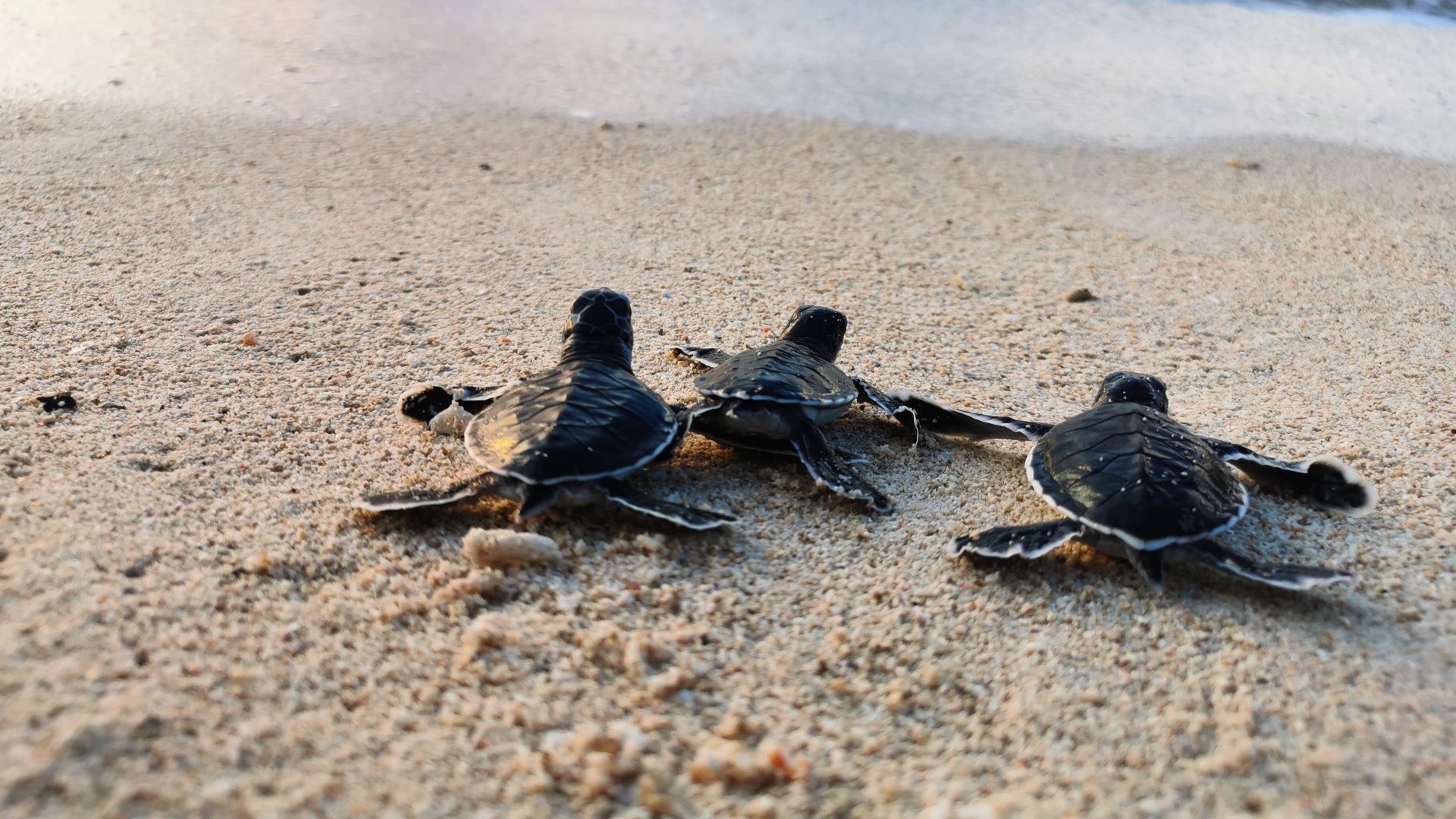 Experiences | Tour East