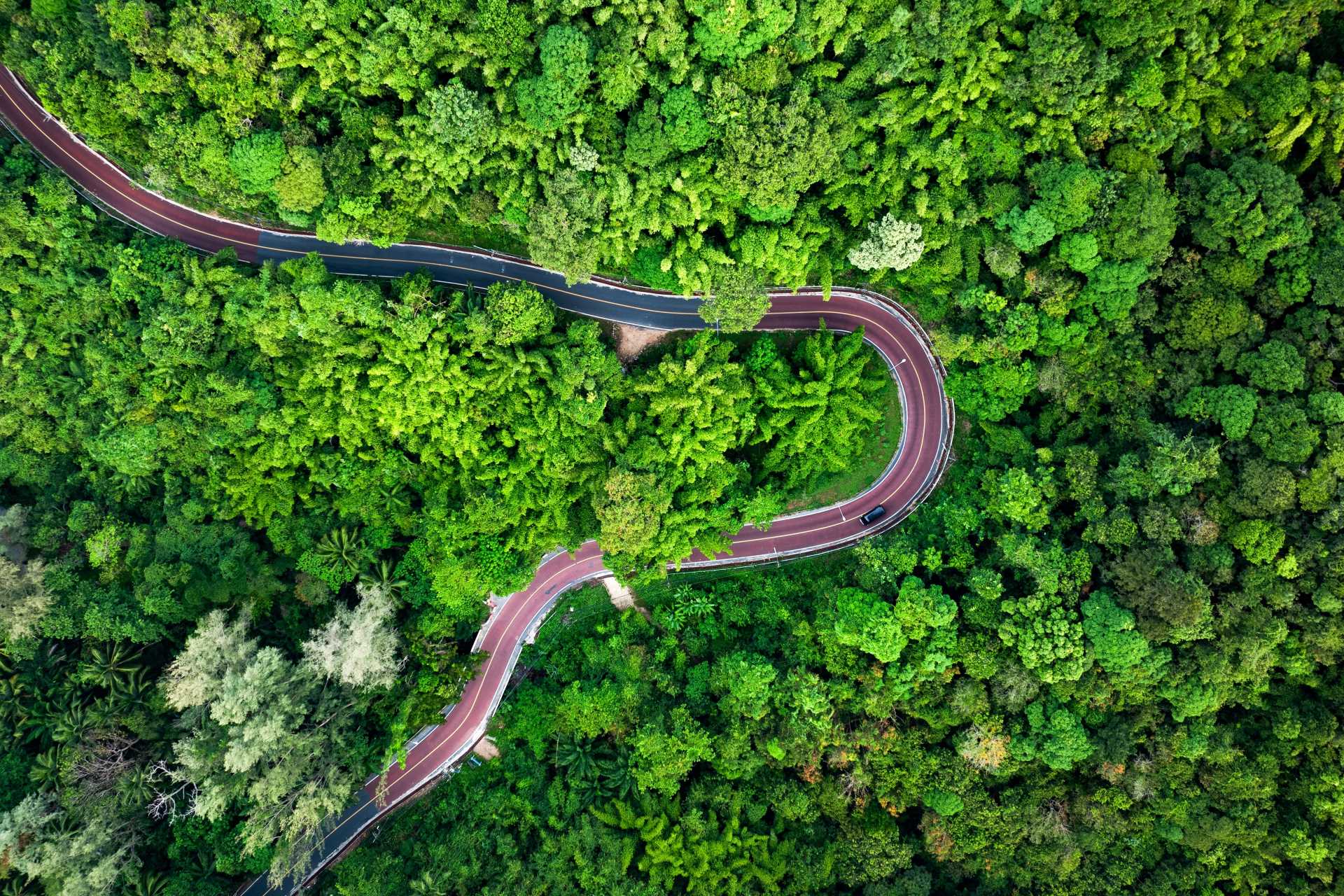 Image via travelwild / Shutterstock