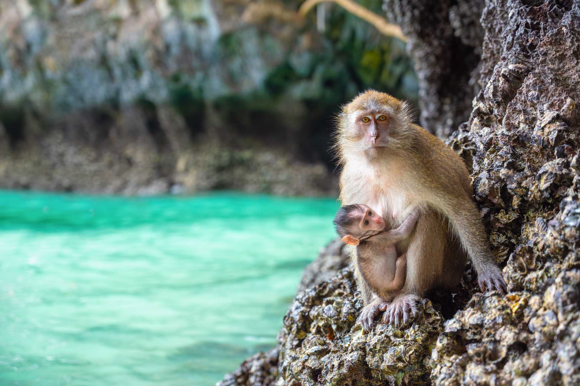 Image via Adcharin Chitthammachuk / Shutterstock