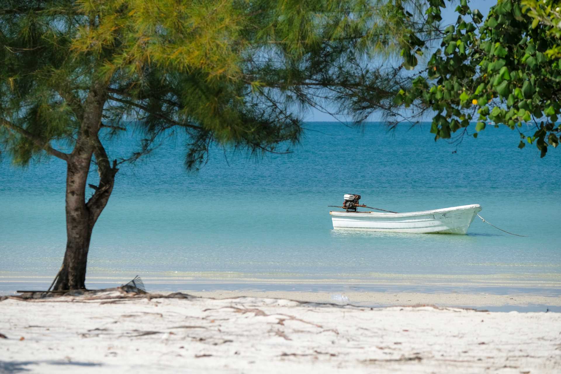 Image via Oscar Espinosa / Shutterstock
