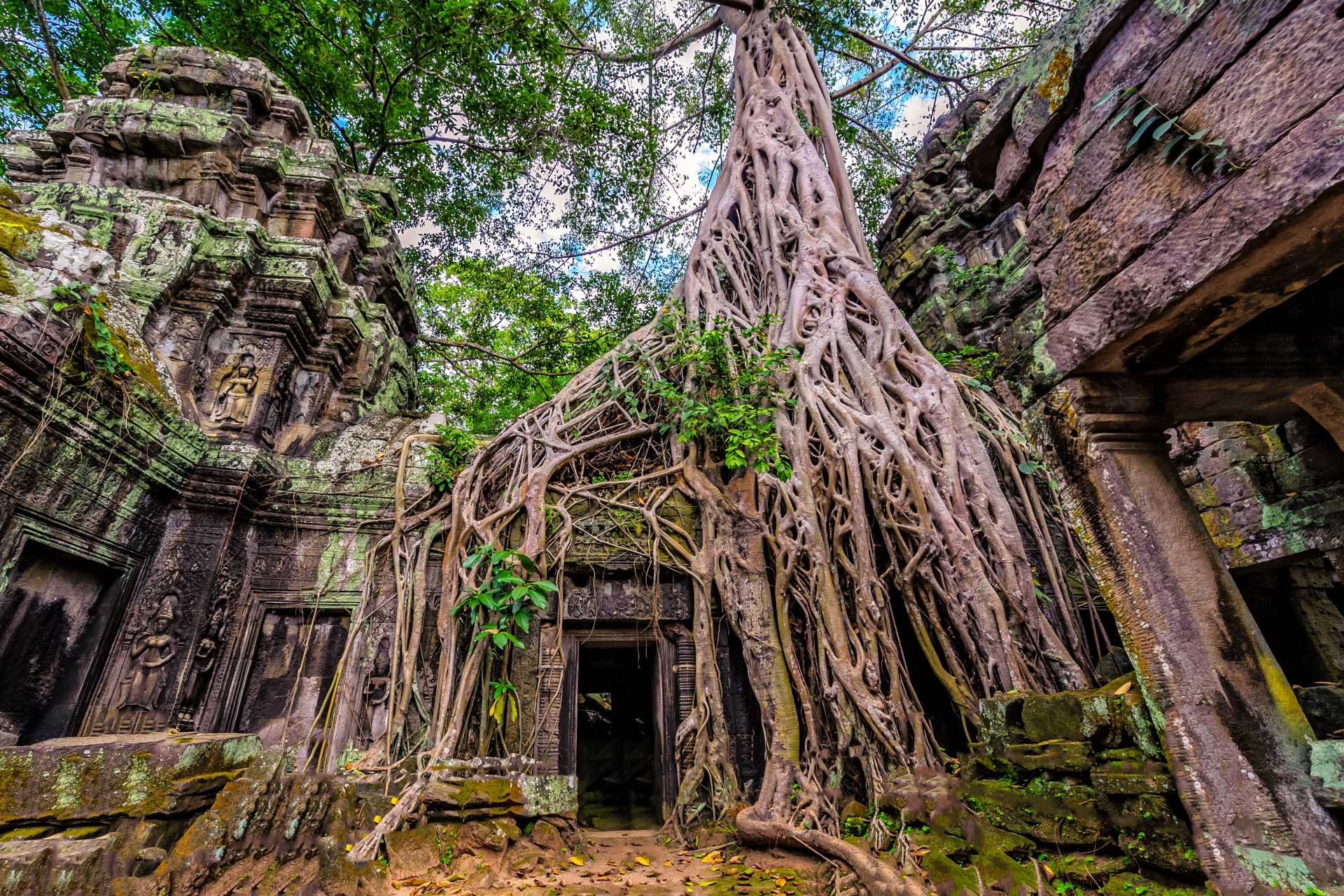 Ta Prohm temple. Image via Jixin YU / Shutterstock