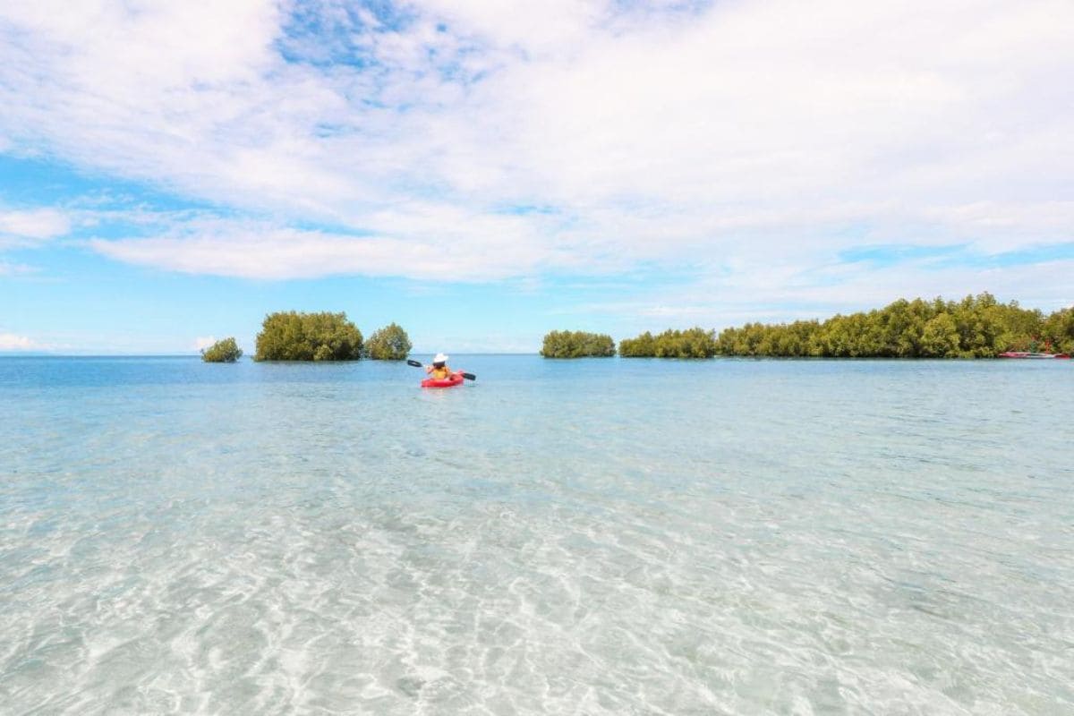 Mangrove and Sandbar Activities at The Funny Lion Puerto Princesa
