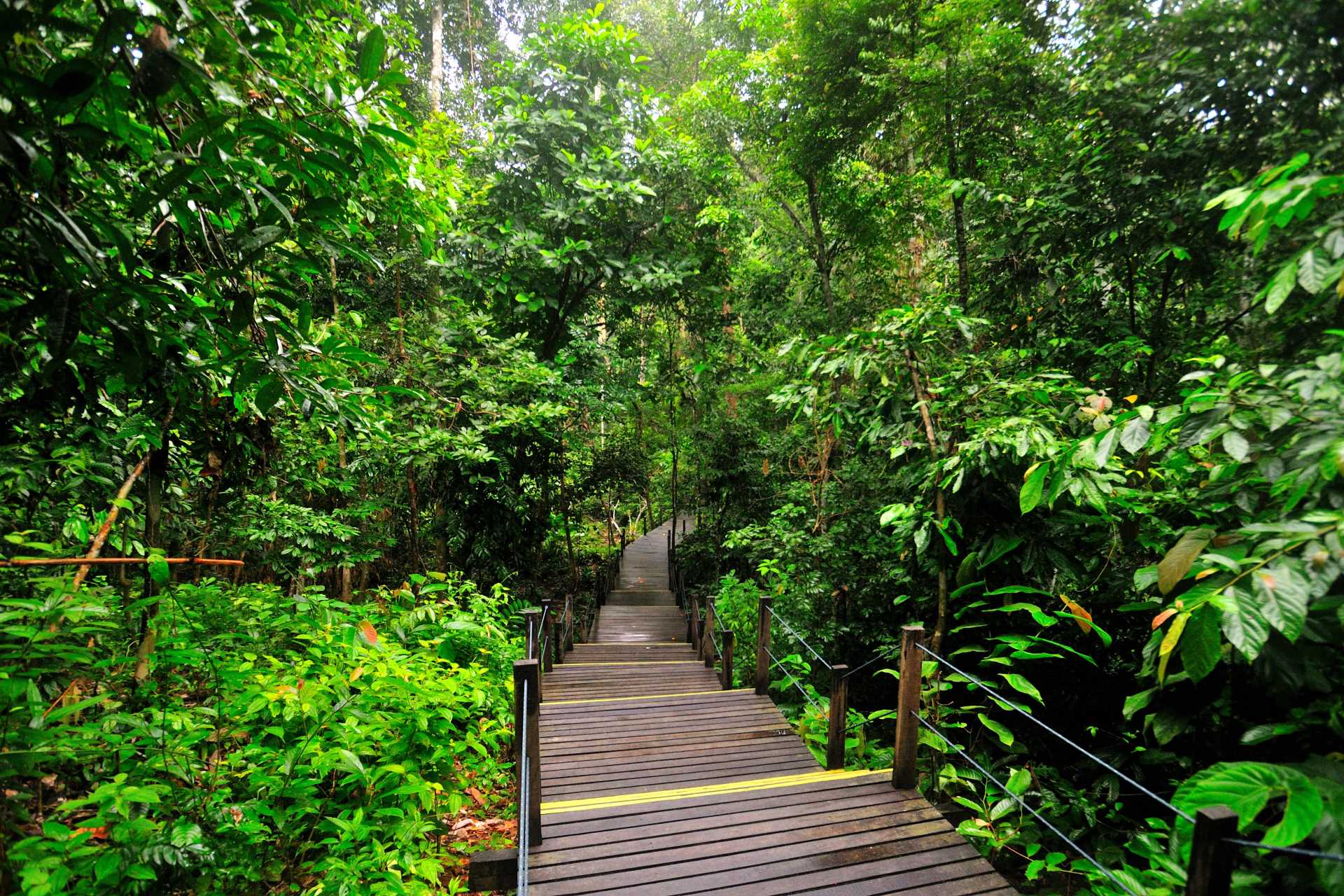 Image via MY Nature Resort / SI Tours