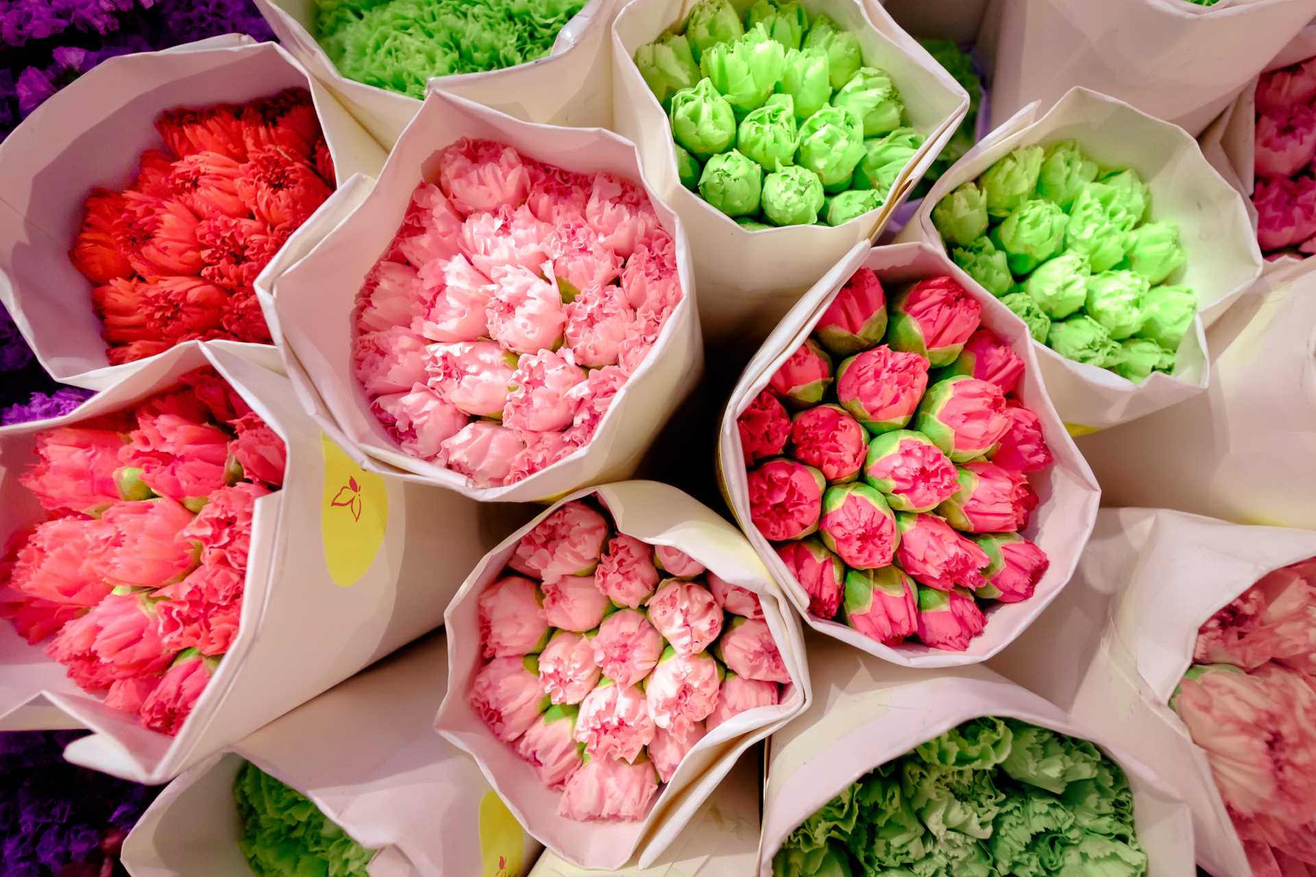 Image via mOai99 / Shutterstock