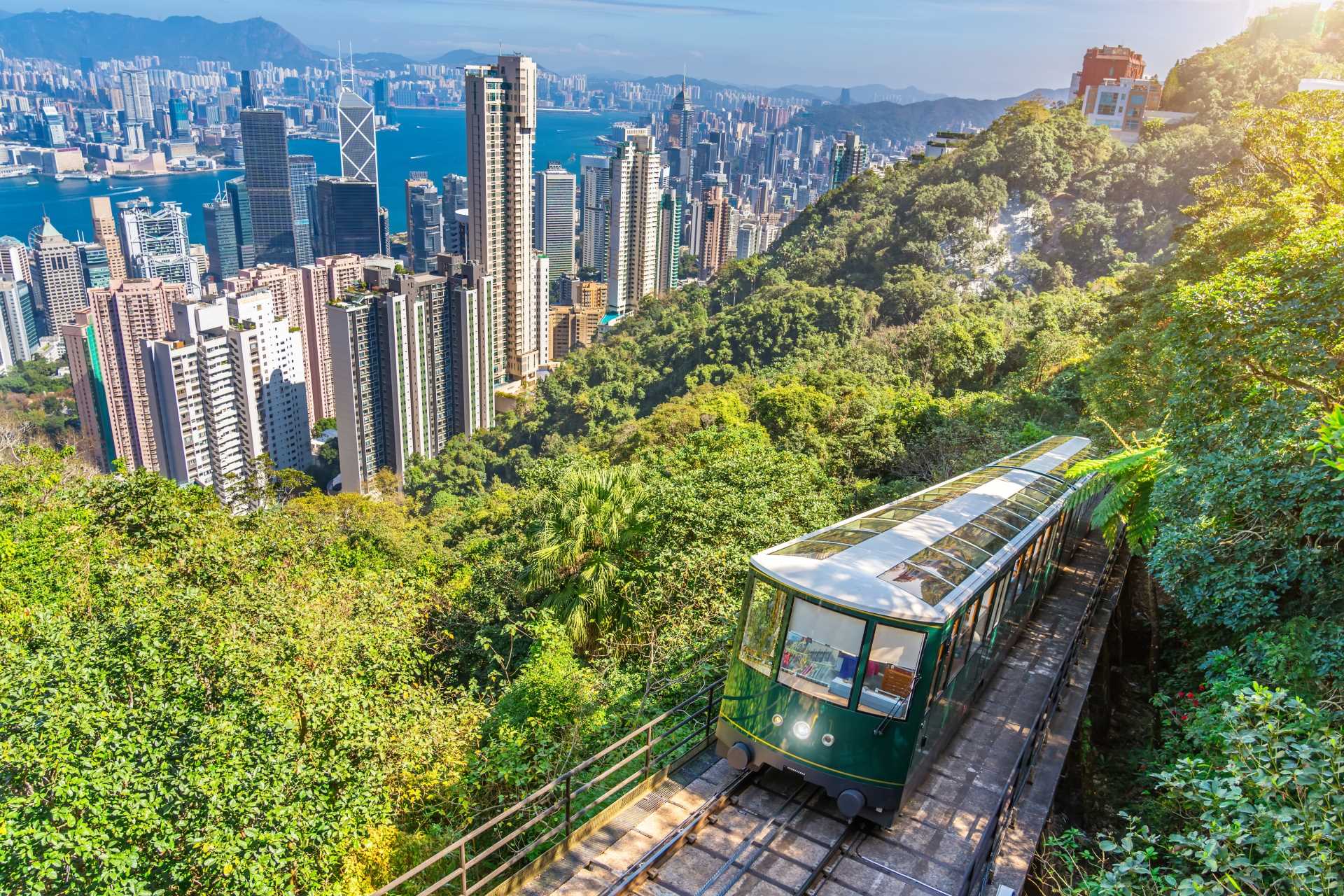 Image via aappp / Shutterstock