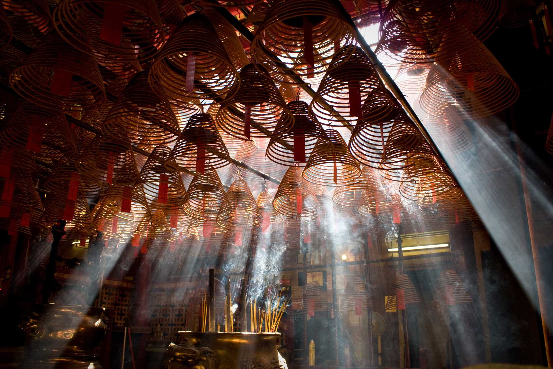 Image via leungchopan / Shutterstock