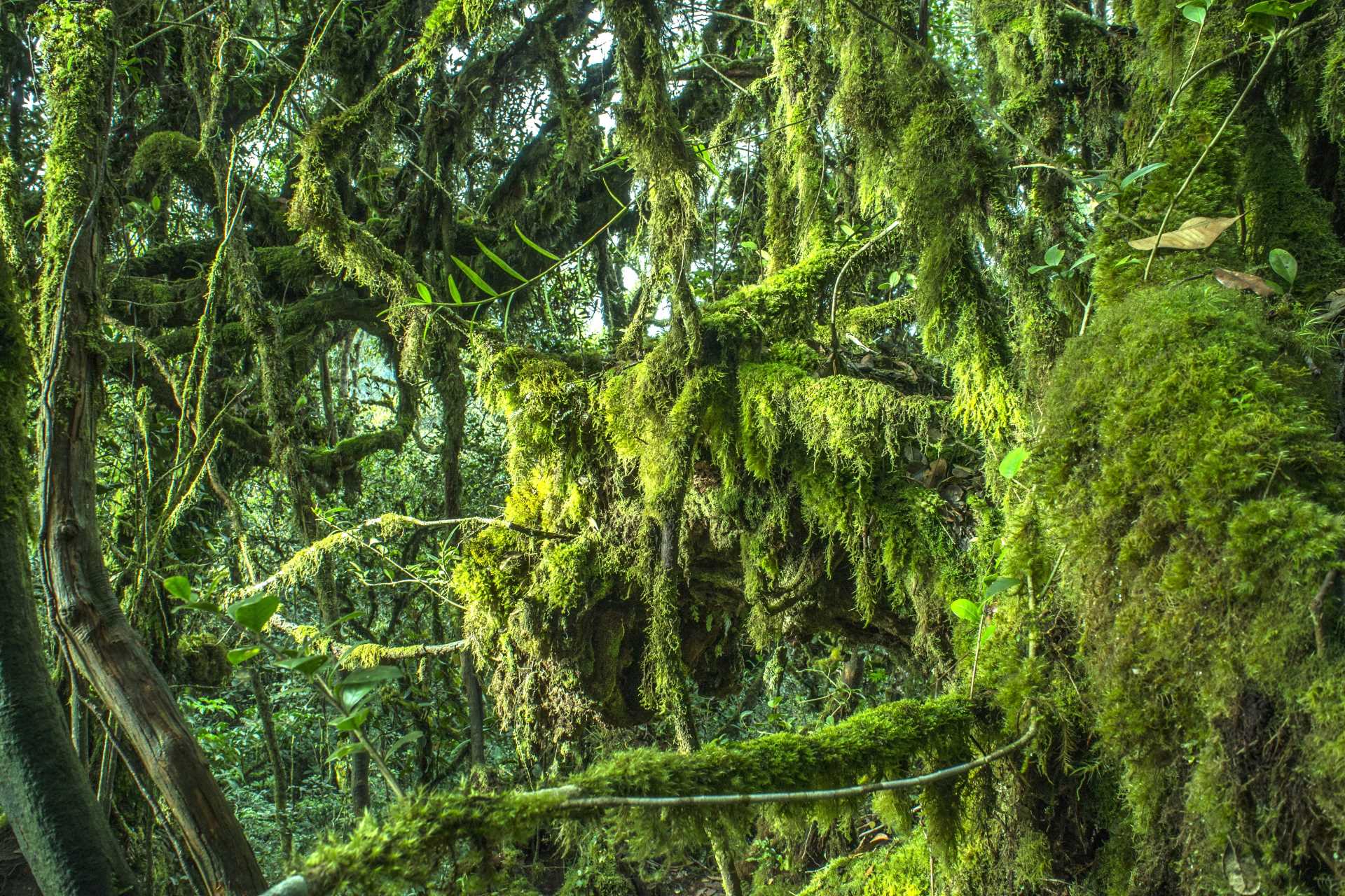 Image via abdul hafiz ab hamid / Shutterstock