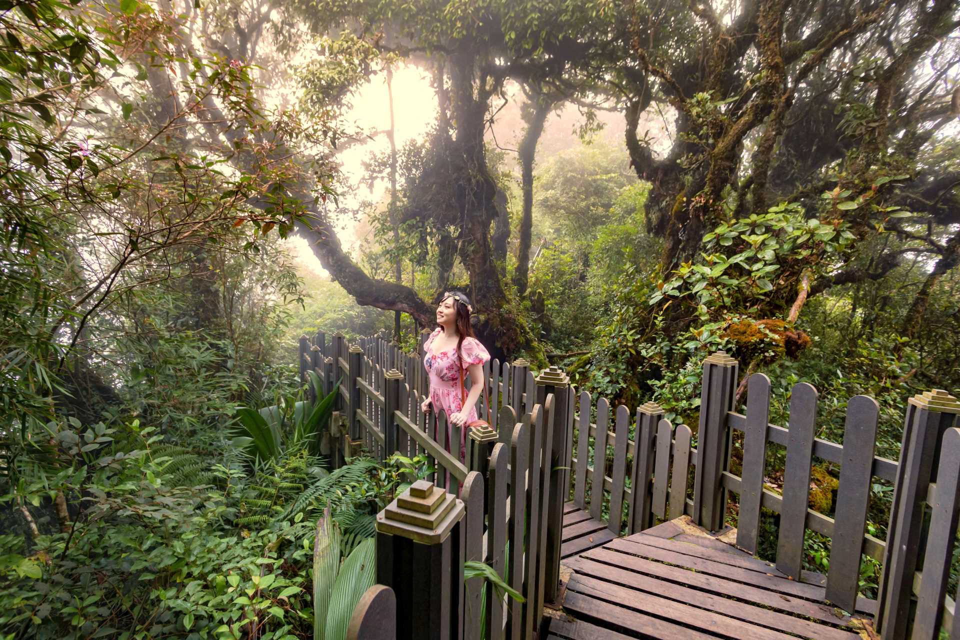 Image via Sakura Image Inc / Shutterstock