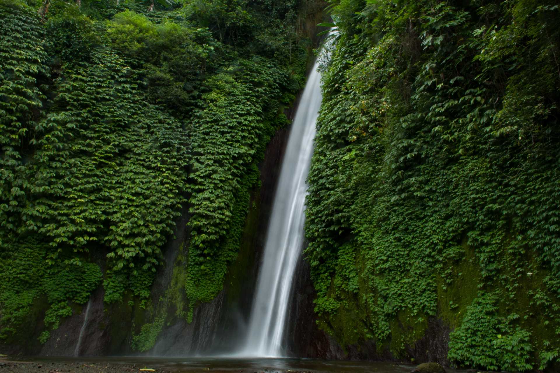 Image via Nutradio / Shutterstock