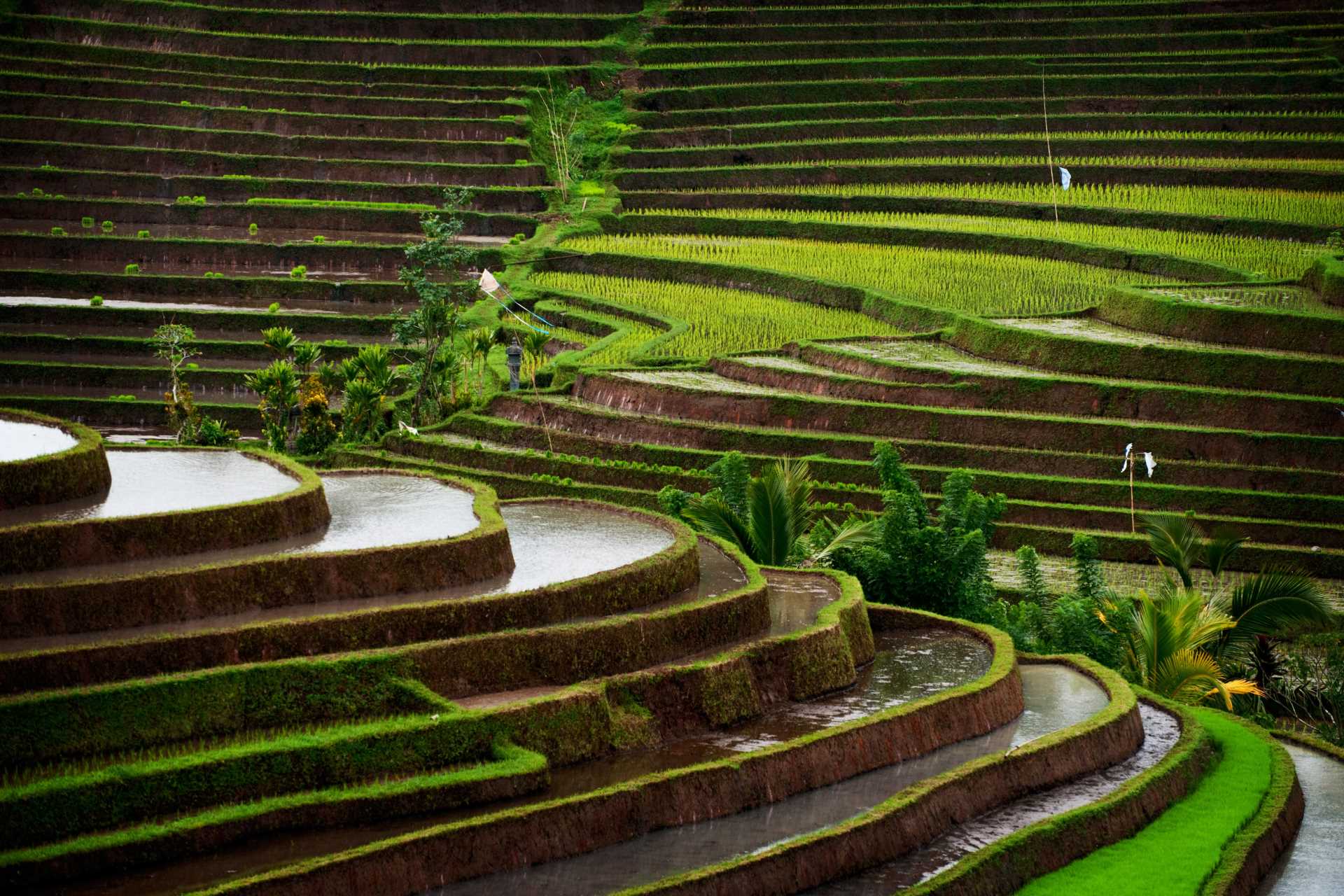 Image via Edmund Lowe Photography / Shutterstock