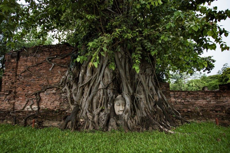 Image via Rum Chuchaisangrat / Shutterstock
