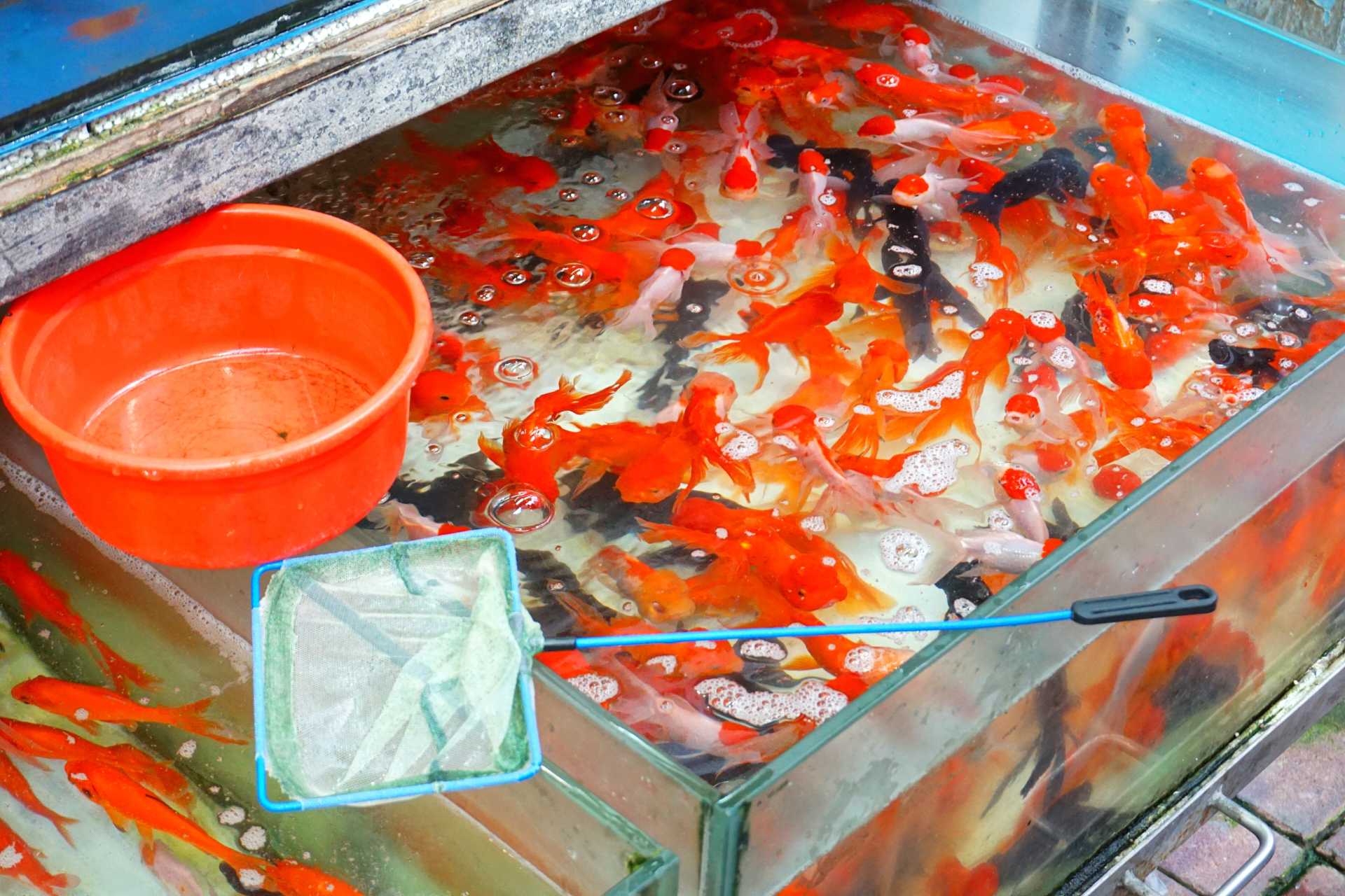 Image via Yoyochow23 / Shutterstock